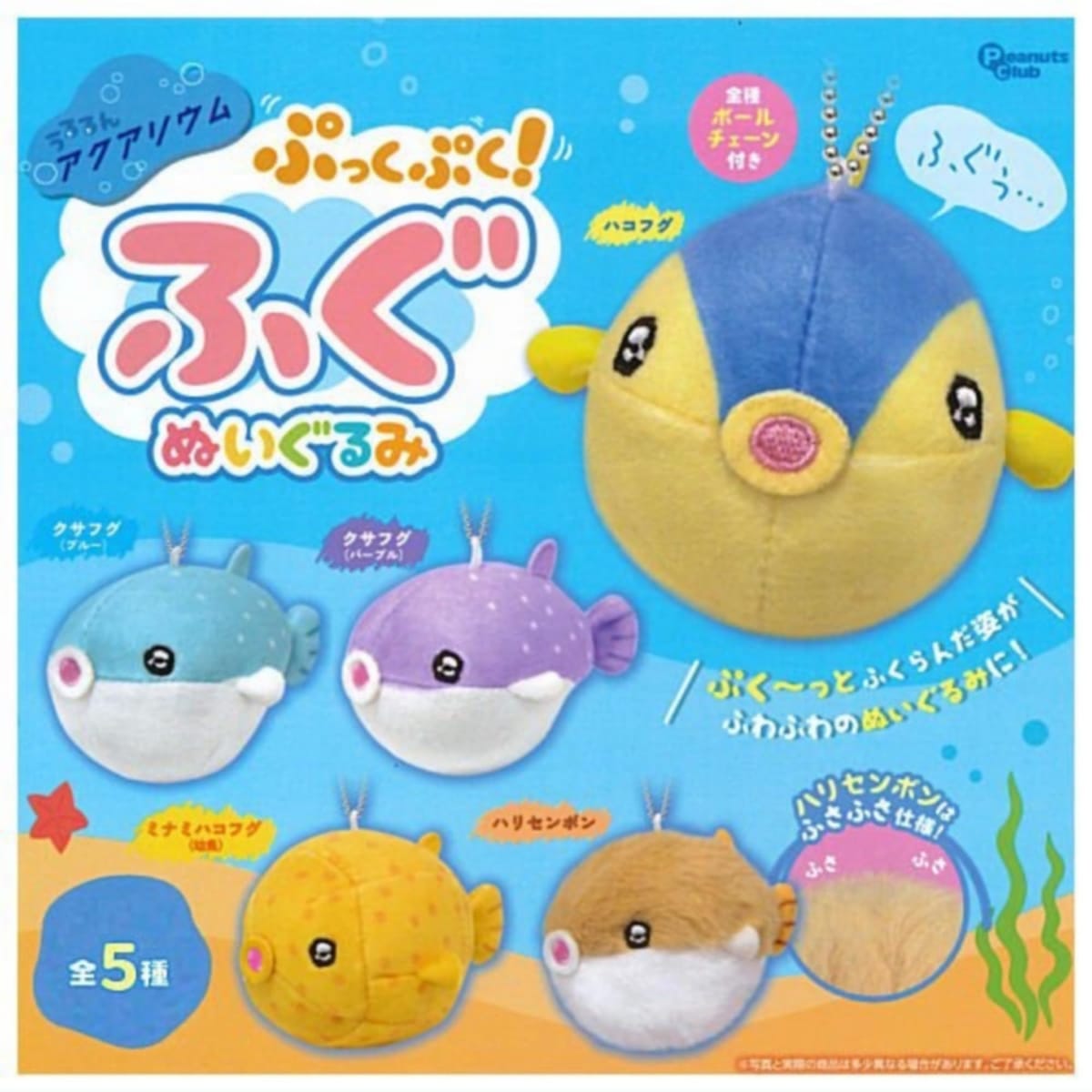󥢥ꥦ פäפդ̤  5糧å ե륳 㥬 ץȥ