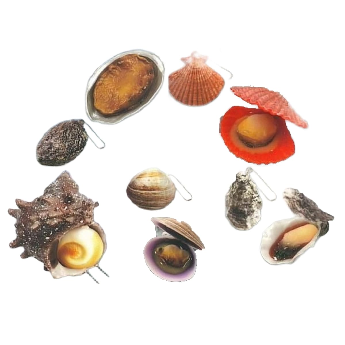 トイズスピリッツ ぷにゅっと!?開く！貝の浜焼きマスコット参 × 全5種セット フルコンプ ガチャガチャ ..