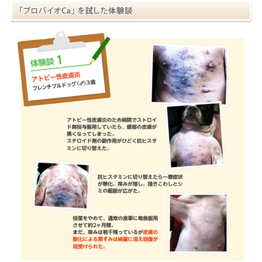 �ץ��Х���CA 30�������2�ĥ��å�