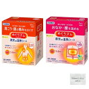 めぐりズム 蒸気の温熱シート 16枚入 蒸気の温熱シート 下着の内側面に貼るタイプ 5枚入 各1個 計2点セット おまけ付き