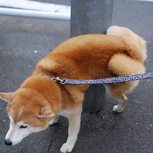 WAFONA �ޥʡ������������ꥭ�å�100ml (�ڥåȤ�������˾ý�������)