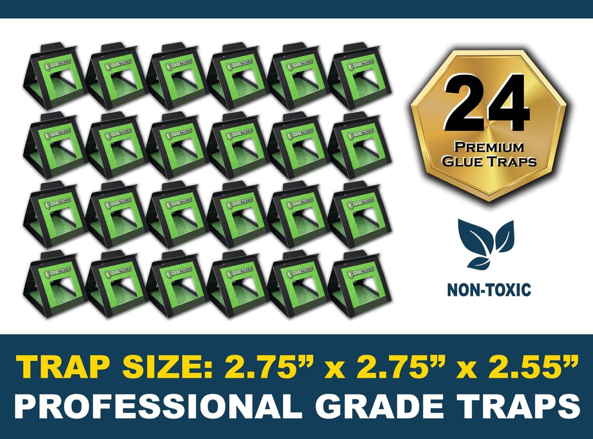 MaxGuard �ȥ�����ߥȥ�å�(24�ȥ�å�) �������ȥ�����߸��Хȥ�å� �ȥ�����ߤ䥯�⡢���������������֥ꡢ����ʤɤ��礦����򸡽С���͡������ޤ���