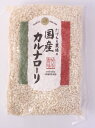 国産カルナローリ (イタリア米)石川県産たけもと農場