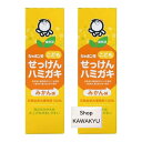 シャボン玉こどもせっけんハミガキ みかん味 50g