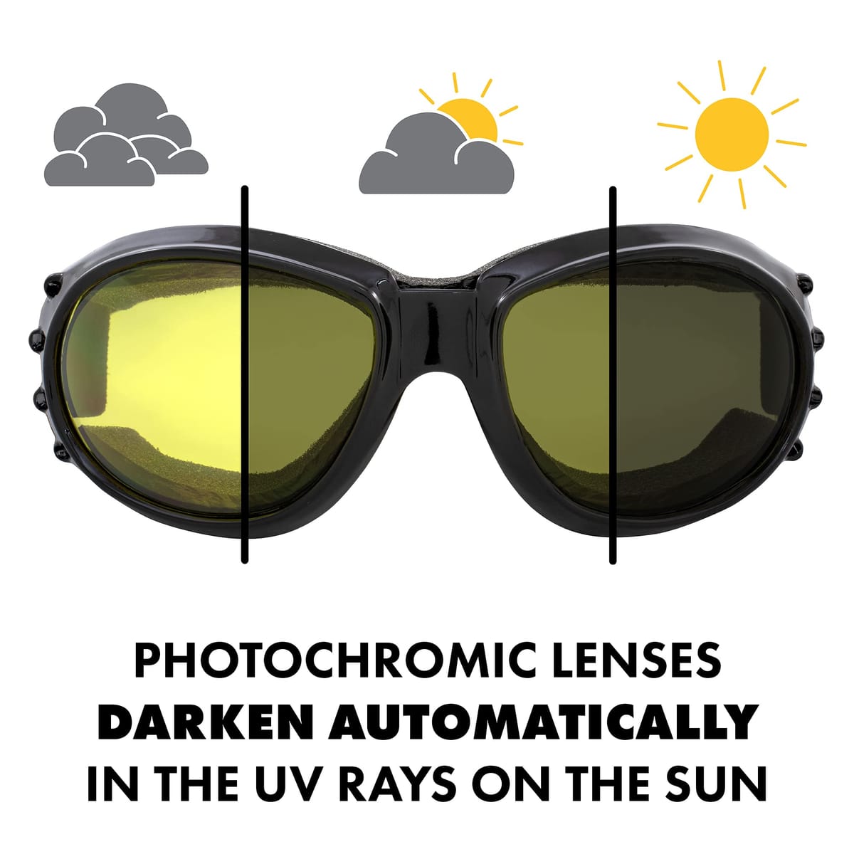 Global Vision ����ߥ͡�����24 �����������⡼���ȥ�󥸥���ʥ��� ��åɥХ��� �����ȥХ��� �����ȥХ� ���ӥ������� �饤�ǥ��󥰥������� ���� �ե��ȥ����ޥƥ��å�����դ� �ޥ������ե����С��ݡ����դ� ��Ǽ�ȥ��꡼�˥���