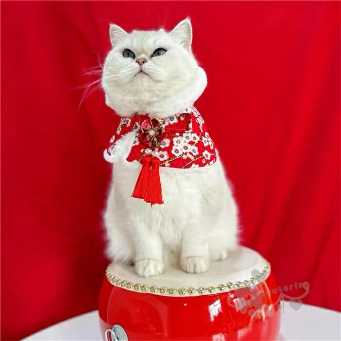 猫用 スカーフ 唾液タオル ペット ショール ネックスカーフ 新年 ペット服 可愛い ...