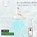 シーリングファンライト LED シーリングファン 口金E26対応 ファンライト 4畳 6畳 8畳 高輝度 照明 5階段風量 調色調光 LED 扇風機付き googleホーム アプリ対応 空気循環 8畳 10畳 5階段風量調整 正逆回転切り替え リモコン遠隔操作 Wi-Fi対応 常夜灯 タイマー メモリ機能