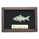 魚ピンズ ヘラブナ 篦鮒 本七宝 ビンテージ フィッシュ ピンズ Vintage Fish Pin's 淡水魚 ピンバッジ 釣り 【AZ】(4)