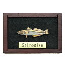 魚ピンズ シロギス 白鱚 本七宝 ビンテージ フィッシュ ピンズ Vintage Fish Pin's 海水魚 ピンバッジ 釣り 【AZ】