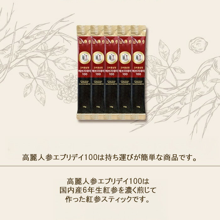 高麗人参エブリデイ100スティック・3セット(30包)15g×30個軽やかで健やかなライフ...