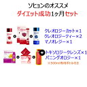 ソヒョンのオススメの寝ながらダイエット成功するお得な1ヶ月セット!!(4)