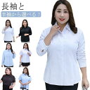 S~8XL シャツ 長袖 半袖 白シャツ 大きいサイズ レディース スーツ インナー 襟付き ゆったり オフィス ブラック ブルー ビジネス