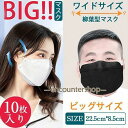大きいマスク 立体 大きめ 10枚入り ビッグサイズ 使い捨て 不織布 マスク 柳葉型 通気性 花粉 夏用マスク 立体マスク 4層