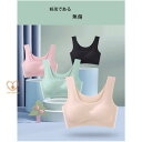 夏 ブラジャー 女性下着 ノンワイヤー 猫背矯正 ナイトブラ レディース 育乳ブラ 無傷 谷間 下着 若い人 中年の人 老人 適用する