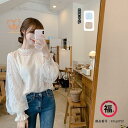 シャツ レース ブラウス トップス プルオーバー レディース ネック 長袖 花柄 大きいサイズ きれいめ 春 30代