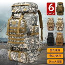 防水 リュック ディバッグ 登山 リュックサック 男女兼用 スポーツ 大容量 軽量 80L メンズ トレッキング サック アウトドア 旅行 ハイキング バックパ...