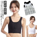 胸潰し ブラ ナベシャツ 胸つぶし なべしゃつ インナー 揺れない スポーツブラ バスト押さえ 前ファスナー式 男装 コスプレ コスチューム 通気性