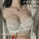 ブラジャー ショーツセット 盛りブラ ブラセット ブラショーツ 盛りブラジャー 下着セット ノーパット ノンパテッドブラ 女性インナー ランジェリー レース