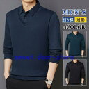 !シャツ メンズ 長袖 ゴルフウェア 折り襟 ストライプ フェイクレイヤード Tシャツ トップス ビジネス おしゃれ 通勤 スポーツ 紳士服