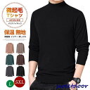 Tシャツ メンズTシャツ ハイネック カジュアル 部屋着 インナー 微起毛 トップス 通勤 春 秋 冬 シンプル 暖かい 保温 無地 おしゃれ ギフト