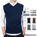 ニットベスト メンズ 春服 プルオーバー 春コート スクールベスト Vネック ビジネス ニットセーター ファッション 無地 新品 通勤