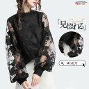 ブラウス レディース レース パフスリーブ フォマール 結婚式 重ね着 インナー 冠婚葬祭 カジュアル 春夏秋 tシャツ 長袖 ゆったり 30代 50代 40代