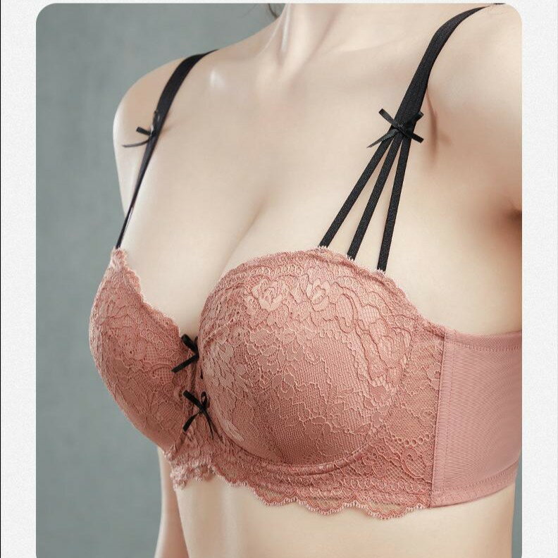 �֥饸�㡼 ���礭���������֥饸�㡼������ �����奯����졼�� �ƹ�֥�(R) ñ�ʥ֥饸�㡼 ���� ���� �֥� ë�� ���� �ƹ� ���� �������� ���졼�� ��...