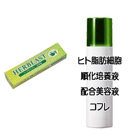 ＜コード:3444＞（食品その他）アムウェイ ハーブラスト 抹茶(10粒×10本)23種のハーブエキスに宇治の抹茶とカテキンをプラスしたハーブキャンディー。まろやかな抹茶味です。《内容量：10粒×10本》★商品価格・発送について★・単品での販売となっています。・手配時の送料や取寄手数料等を含むため、通常よりも高めの価格設定となっております。確認の上ご購入検討下さい。・こちらの商品はご注文後のキャンセルはお受けできません。予めご了承くださいませ。【ヒト脂肪細胞美容液コフレ】ヒト脂肪細胞順化培養液エキス配合のスペシャル美容液コフレ。お肌の「ハリ」、「キメ」を整えます。【広告文責】・お問い合わせ先:有限会社美彩[TEL.090-5467-0825(order@bi-sai.jp)]・メーカー:・原産国:・商品区分:食品(健康食品)※時期等により原産国が変更になる場合があります。※デザイン/パッケージ等は変更になる場合があります。