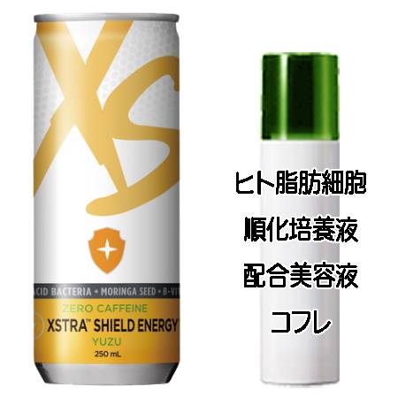 マザーズデイコフレ 送料込 アムウェイ XS エナジードリンク エクストラ カフェインゼロ シールドエナジー(250mL×6本) ヒト脂肪細胞美容液コフレ＜2503350056676＞