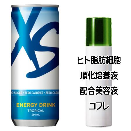 マザーズデイコフレ 送料込 アムウェイ XS エナジードリンク トロピカル(250mL×6本) ヒト脂肪細胞美容液コフレ＜2503350051596＞