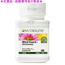Amway アムウェイ ウインドガードエキネシア 120粒(4)