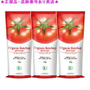 Amway アムウェイ エサンテ オーガニック ケチャップ プレーンタイプ 300g 3個セット