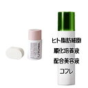 ハッピーバレンタインコフレ 送料込 ウトワ リキッドファンデーションUV 385(スポンジ付き)(33ml) ヒト脂肪細胞美容液コフレ＜4580172010572＞