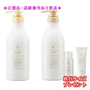 FLOWDIA MORE フローディアモア シャンプー&トリートメントセット リペアコンクシルキー 550ml/550g プレゼント付
