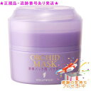HOLLYWOOD ハリウッド オーキッドマスク(酵素パウダー)(80g) プレゼント付
