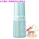 HOLLYWOOD ハリウッド ナチュラルEX エッセンス h(60ml) プレゼント付