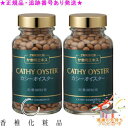 CATHY カシー オイスター 500粒 2個セット プレゼント付