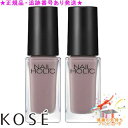 KOSE コーセー ネイルホリック BE304 5mL 2個セット プレゼント付