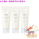 Naris ナリス ルクエ3 Wクレンジング フォーム 100g 3個セット プレゼント付