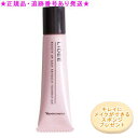 Naris ナリス リディ イージーリタッチ ファンデーション 15g プレゼント付(4)