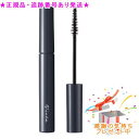 Naris ナリス Vieta ヴィータ インパクトラッシュ カールマスカラ WP ブラック プレゼント付