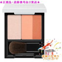 LISSAGE リサージ スキンフィットチーク BE1 モダンベージュ レフィル+ケース プレゼント付