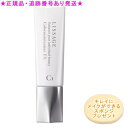 LISSAGE リサージ カラーメインテナイザー EX C1 オークルB 30ml プレゼント付