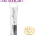 LISSAGE リサージ カラーメインテナイザー EX C2 オークルD 30ml プレゼント付(4)
