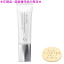LISSAGE リサージ カラーメインテナイザー EX C2 ベージュC 30ml プレゼント付