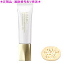 LISSAGE リサージ カラーメインテナイザー DX ピンクオークルB 30g プレゼント付