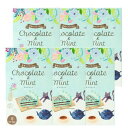 Tree of life 生活の木 紅茶のパティシエ チョコミント 8個入 6個セット