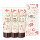 Tree of life 生活の木 シアバター ハンドクリーム ローズ 60g 3個セット 外箱折りたたむ場合あり