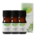 Tree of life 生活の木 WSブレンド精油 ユーカリ&ティートゥリー 5ml 3個セット ※外箱折りたたんでご発送※