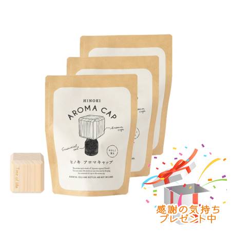 Tree of life 生活の木 Hinoki アロマキャップ 四角形 3個セット　 プレゼント付
